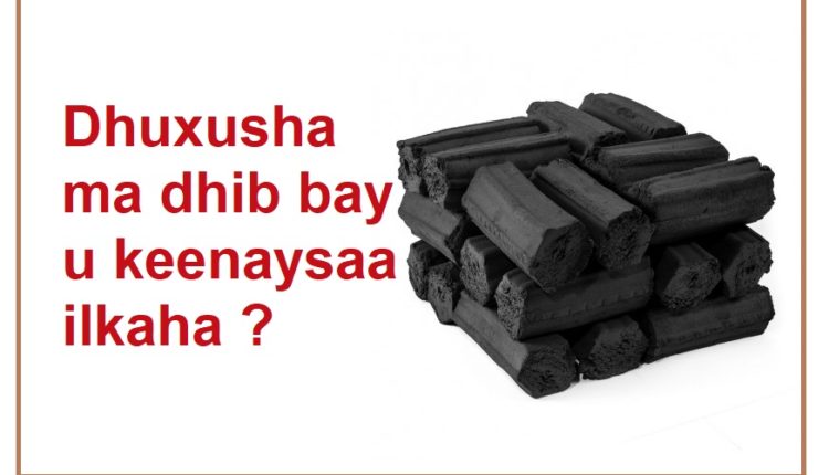 Dhuxusha ma dhib bay u keenaysaa ilkaha 1