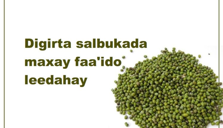 Digirta salbukada maxay faa’ido leedahay