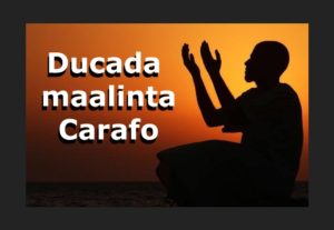 Ducada maalinta Carafo fadligeeda