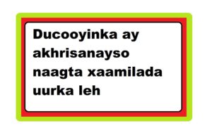 Ducooyinka ay akhrisanayso naagta xaamilada uurka leh