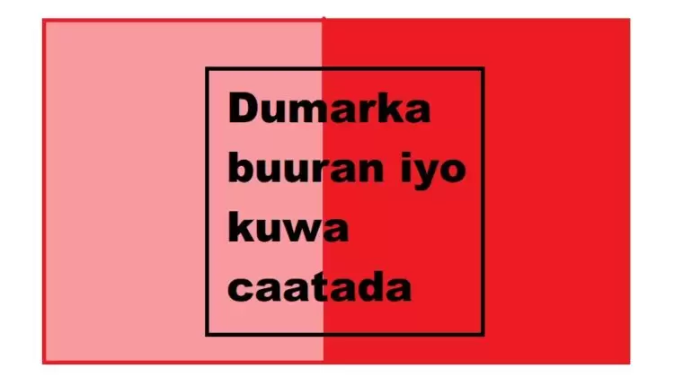 Dumarka buuran iyo kuwa caatada