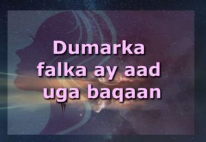 Dumarka falka ay aad uga baqaan