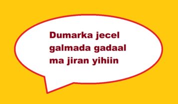 Dumarka jecel galmada gadaal ma jiran yihiin