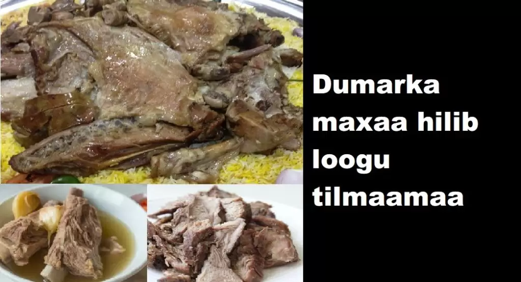 Dumarka maxaa hilib loogu tilmaamaa