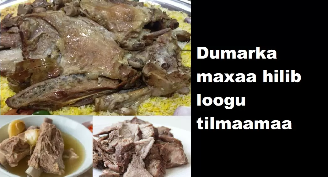 Dumarka maxaa hilib loogu tilmaamaa
