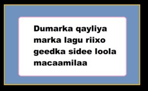 Dumarka qayliya marka lagu riixo geedka sidee loola macaamilaa