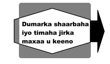 Dumarka shaarbaha iyo timaha jirka maxaa u keeno Dumarka shaarbaha iyo timaha jirka maxaa u keeno