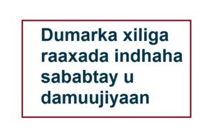 Dumarka xiliga raaxada indhaha sababtay u damuujiyaan