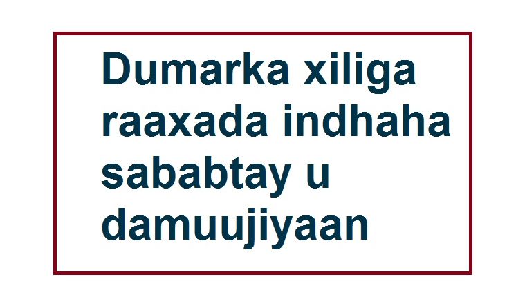 Dumarka xiliga raaxada indhaha sababtay u damuujiyaan