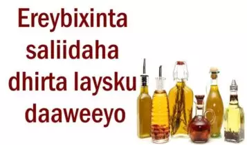 Ereybixinta saliidaha dhirta laysku daaweeyo Ereybixinta saliidaha dhirta laysku daaweeyo