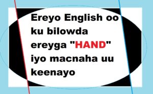 Ereyo English oo ku bilowda ereyga HAND iyo macnaha uu keenayo