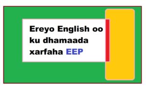 Ereyo English oo ku dhamaada xarfaha EEP