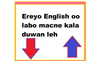 Ereyo English oo labo macne kala duwan leh