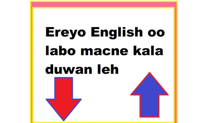 Ereyo English oo labo macne kala duwan leh