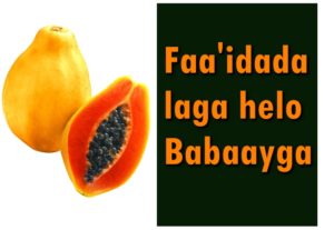 Faa'idada laga helo Babaayga xagga caafimaadka