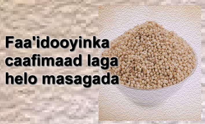 Faa’idooyinka caafimaad laga helo masagada