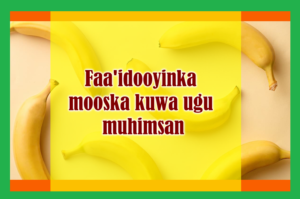 Faa'idooyinka mooska kuwa ugu muhimsan