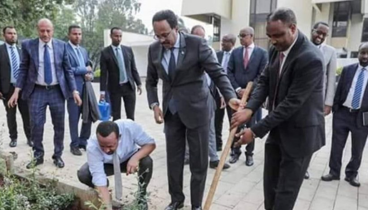 Farmaajo iyo xaaskiisa Itoobiya nadaafadda ka qaybgalay