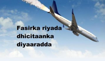 Fasirka riyada dhicitaanka diyaaradda