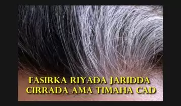 Fasirka riyada jaridda cirrada ama timaha cad Fasirka riyada jaridda cirrada ama timaha cad