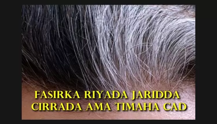 Fasirka riyada jaridda cirrada ama timaha cad