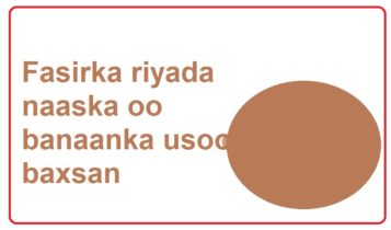 Fasirka riyada naaska oo banaanka usoo baxsan