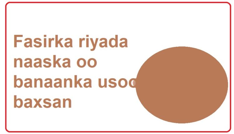 Fasirka riyada naaska oo banaaka usoo baxsan