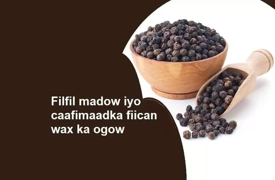 Filfil madow iyo caafimaadka fiican wax ka ogow