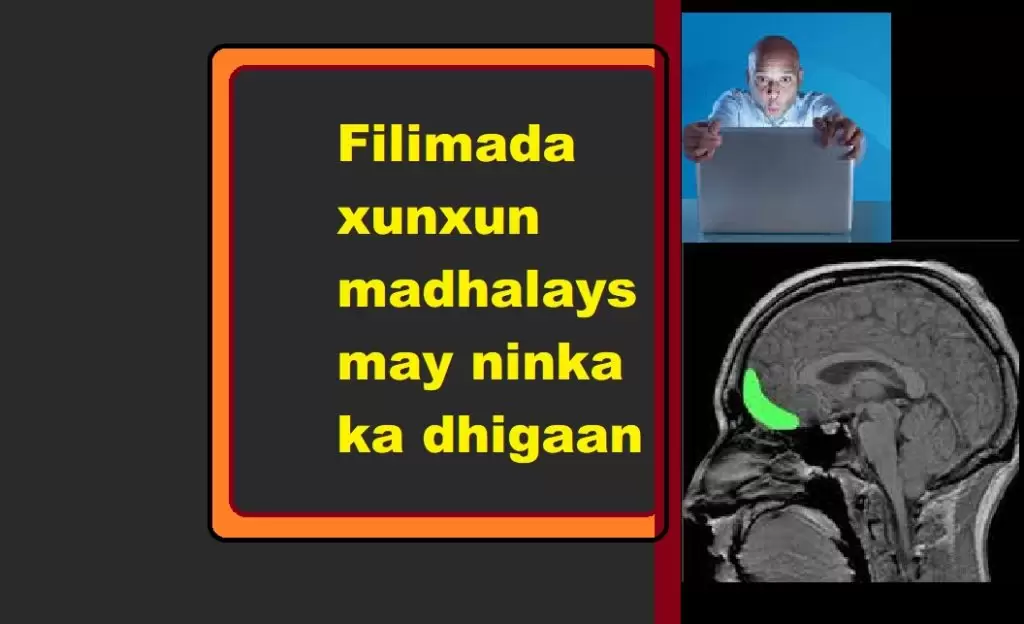 Filimada xunxun madhalays may ninka ka dhigaan