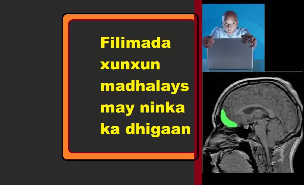Filimada xunxun madhalays may ninka ka dhigaan