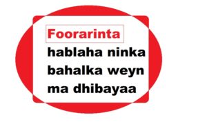 Foorarinta hablaha ninka bahalka weyn ma dhibayaa