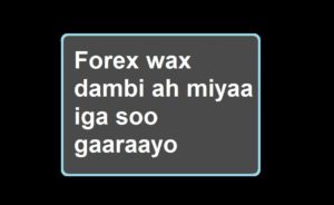 Forex wax dambi ah miyaa iga soo gaaraayo