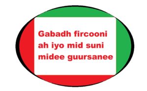 Gabadh fircooni ah iyo mid suni midee guursanee