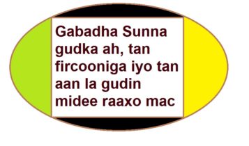 Gabadha Sunna gudka ah, tan fircooniga iyo tan aan la gudin midee raaxo mac