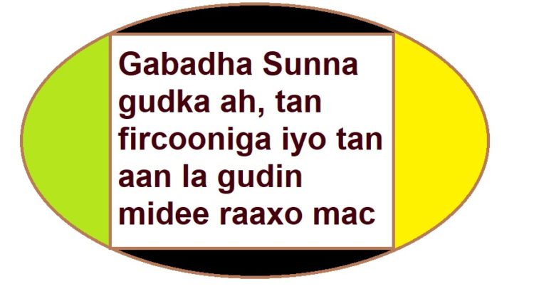 Gabadha Sunna gudka ah tan fircooniga iyo tan aan la gudin midee raaxo mac