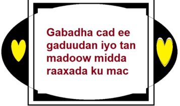 Gabadha cad ee gaduudan iyo tan madoow midda raaxada ku mac