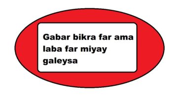 Gabar bikra far ama laba far miyay galeysa