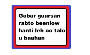 Gabar guursan rabto beenlow hanti leh oo talo u baahan