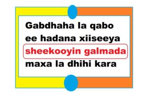 Gabdhaha la qabo ee hadana xiiseeya sheekooyin galmada maxa la dhihi kara