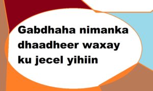 Gabdhaha nimanka dhaadheer waxay ku jecel yihiin