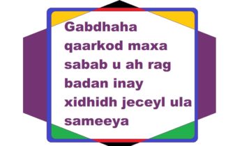 Gabdhaha qaarkod maxa sabab u ah rag badan inay xidhidh jeceyl ula sameeya