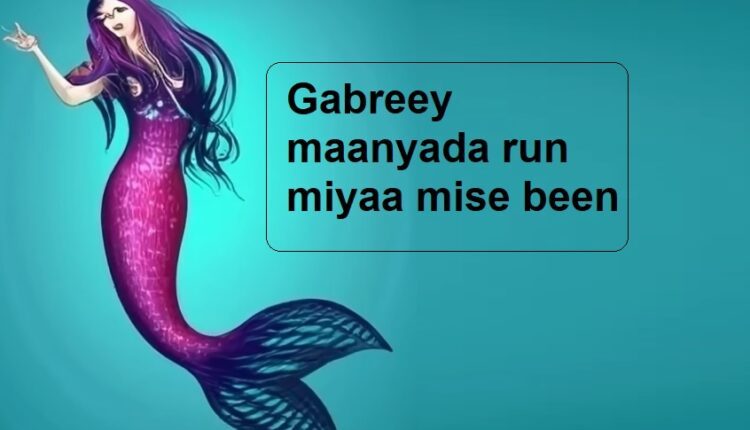 Gabreey maanyada run miyaa mise been