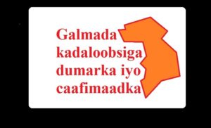 Galmada kadaloobsiga dumarka iyo caafimaadka