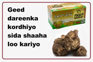 Geed dareenka kordhiyo sida shaaha loo kariyo