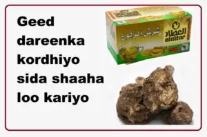 Geed dareenka kordhiyo sida shaaha loo kariyo Geed dareenka kordhiyo sida shaaha loo kariyo
