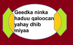 Geedka ninka haduu qaloocan yahay dhib miyaa