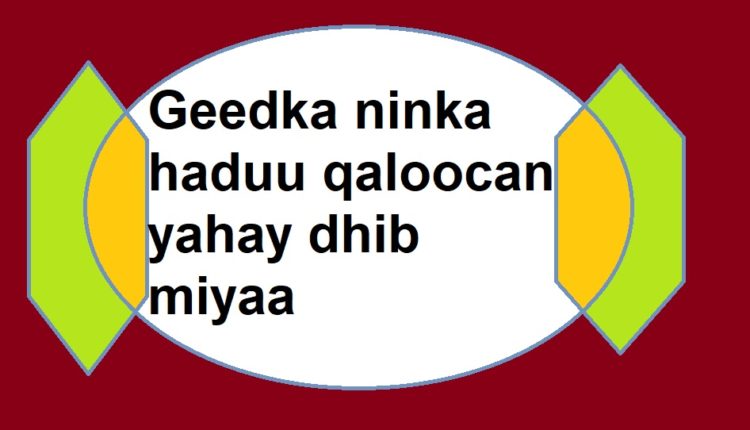 Geedka ninka haduu qaloocan yahay dhib miyaa