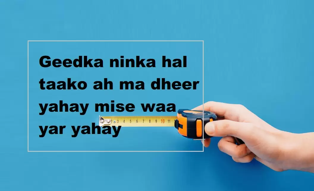 Geedka ninka hal taako ah ma dheer yahay mise waa yar yahay