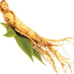 Ginseng