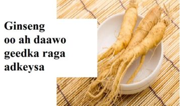 Ginseng oo ah daawo geedka raga adkeysa